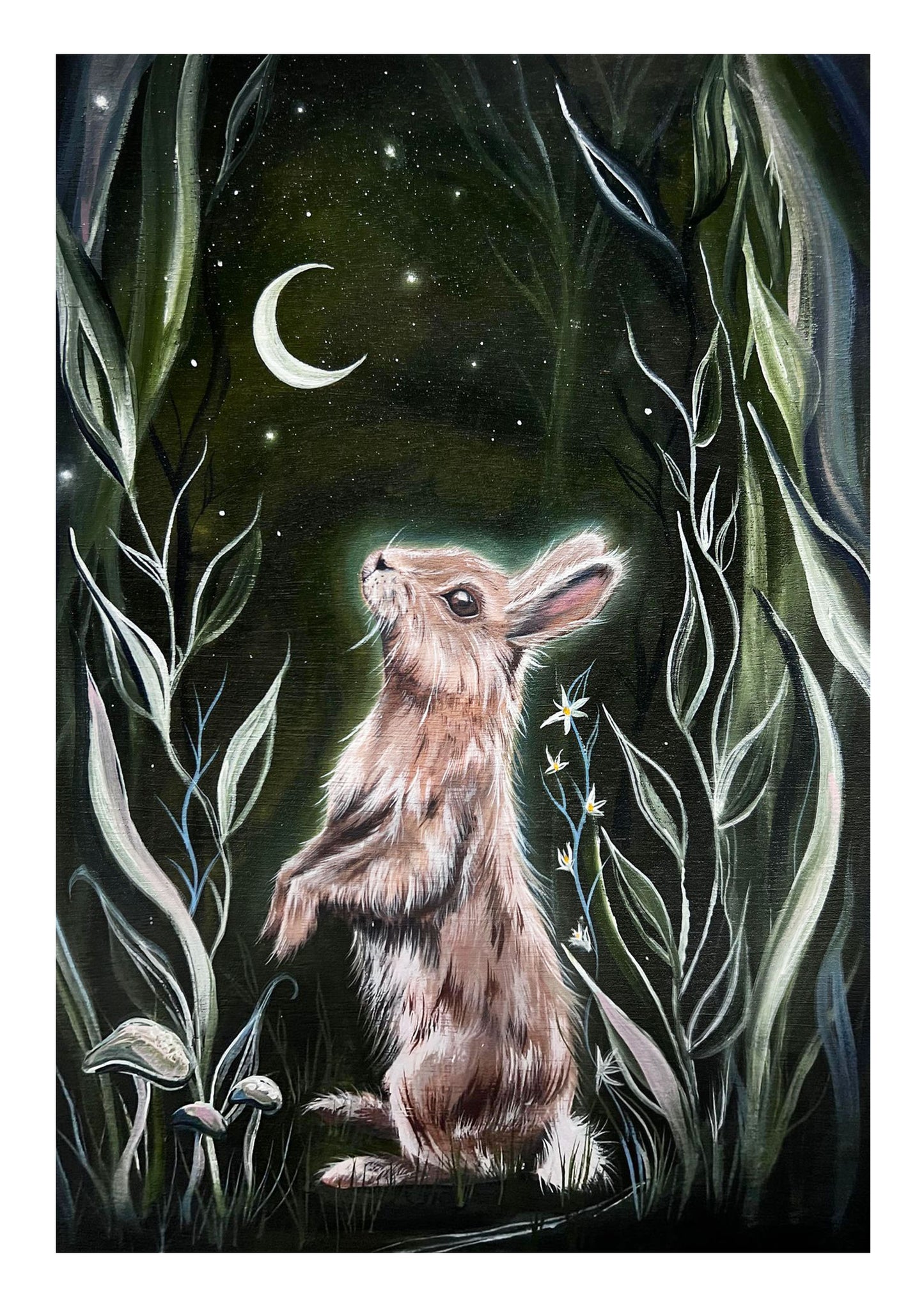 Woodland Notebook - Rabbit