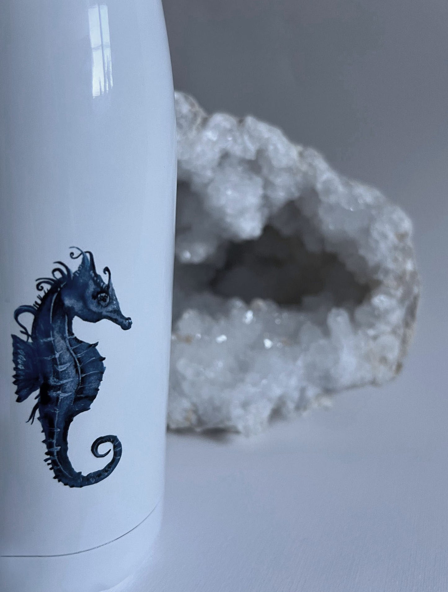 Seahorse Bottles